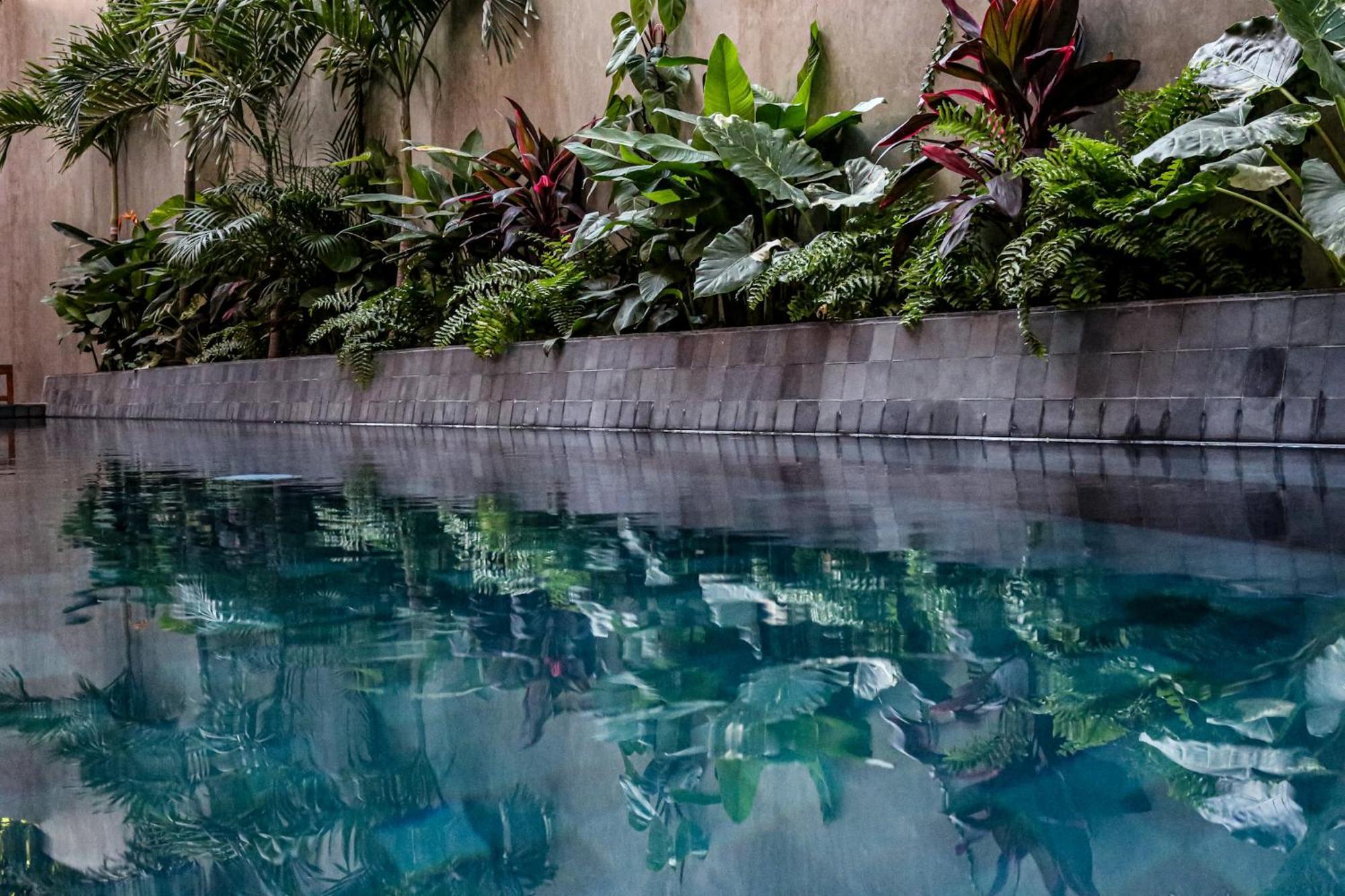 Отель Casa Toro La Punta Brisas de Zicatela Экстерьер фото